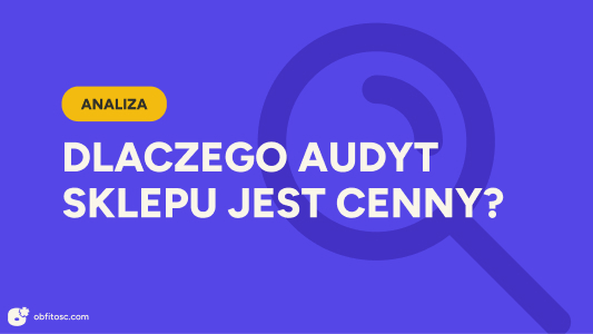 Dlaczego warto zrobić audyt sklepu internetowego?
